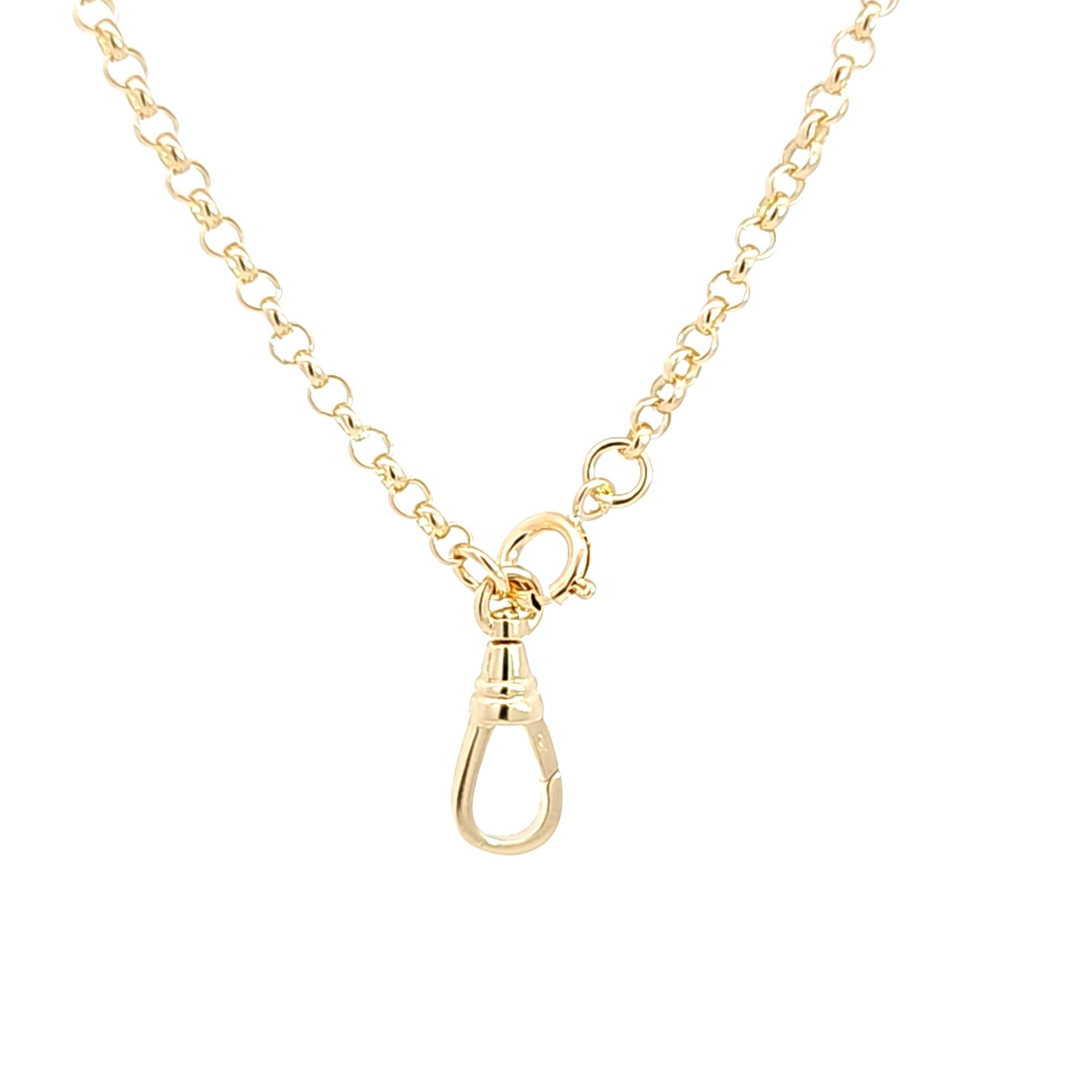 14k Rolo Chain With Charm Clip – Didi Rose Jewelry