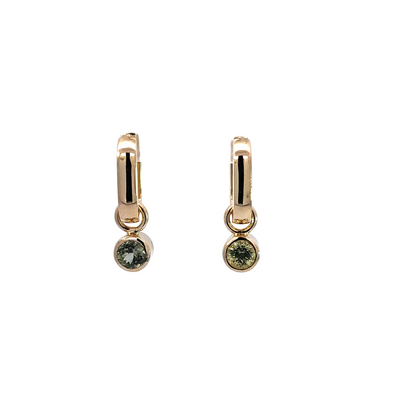 Montana Sapphire Earrings Charms 1